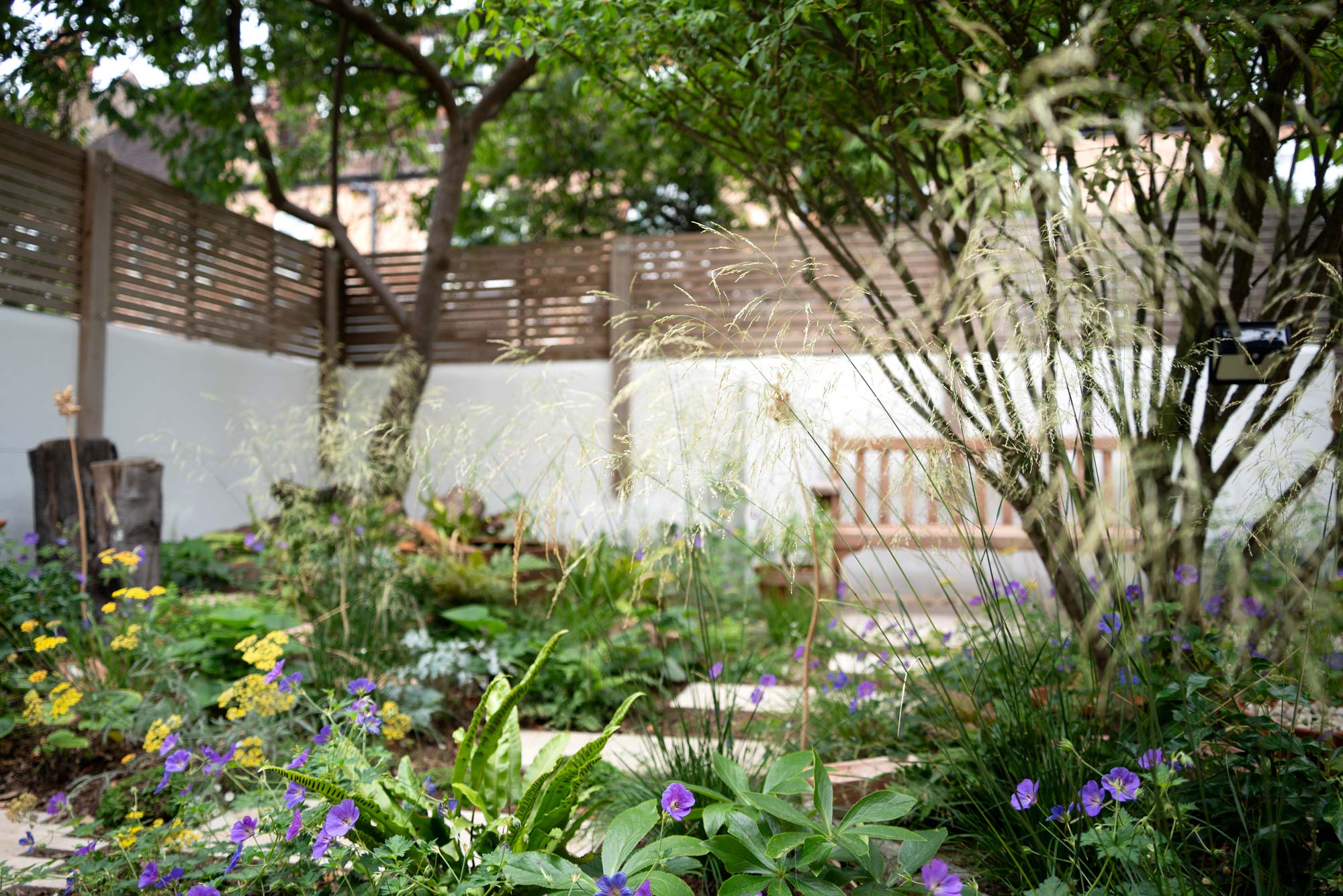 Detail of garden design by The Conscious Gardening Co.