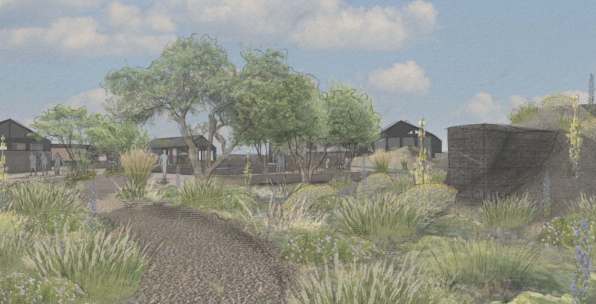 Garden design visualisation by The Conscious Gardening Co.