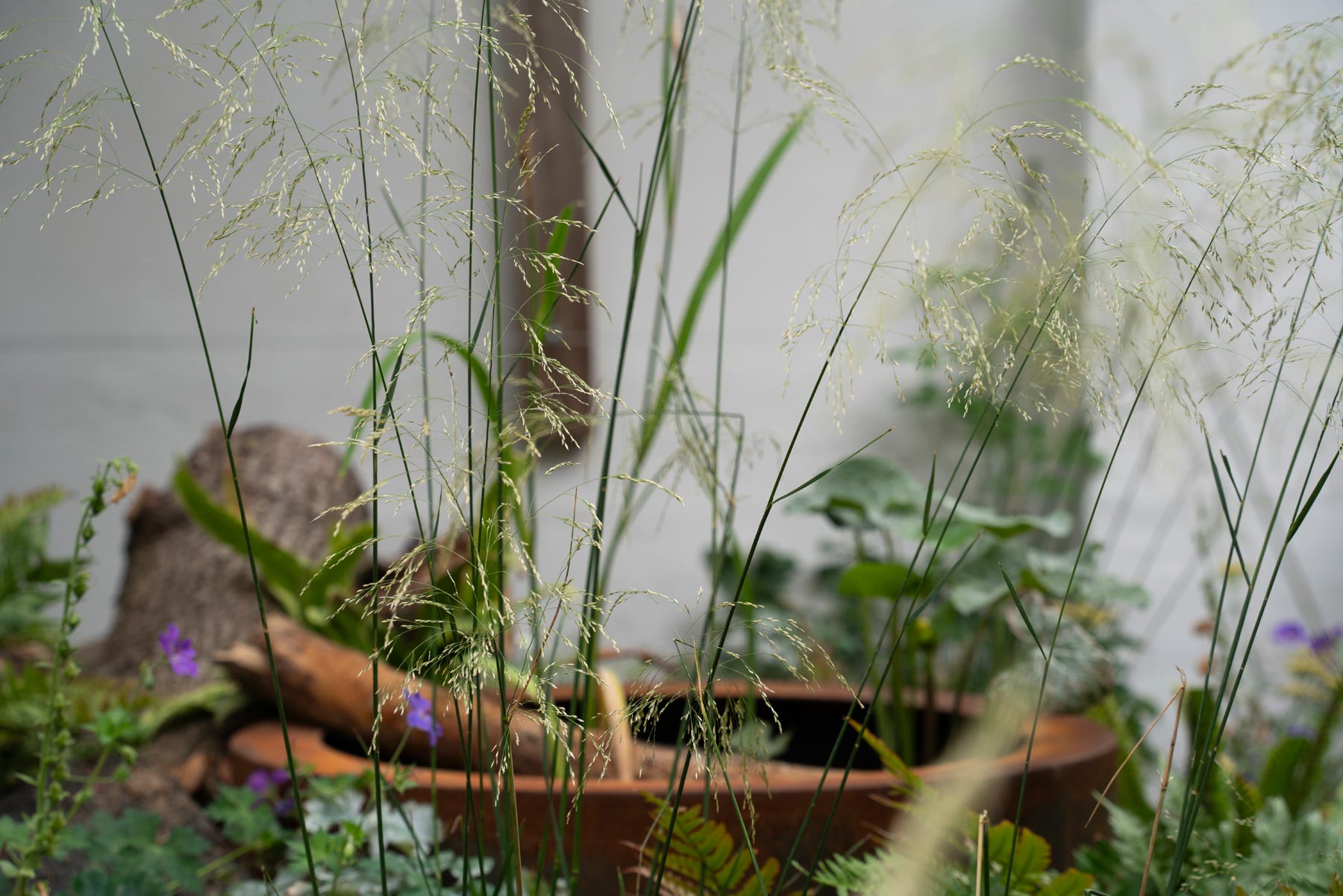 The Conscious Gardening Co.
