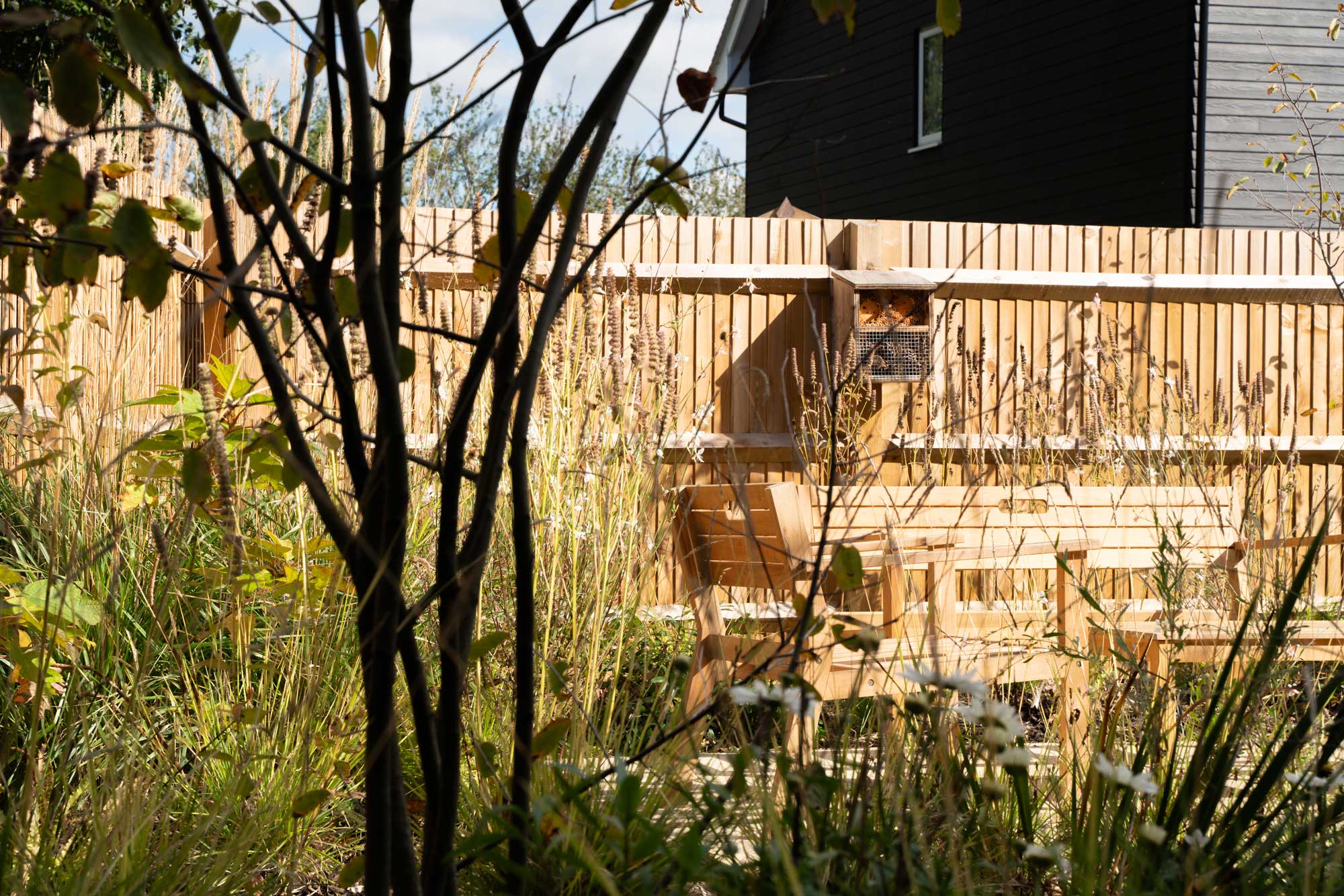 Detail of garden design by The Conscious Gardening Co.