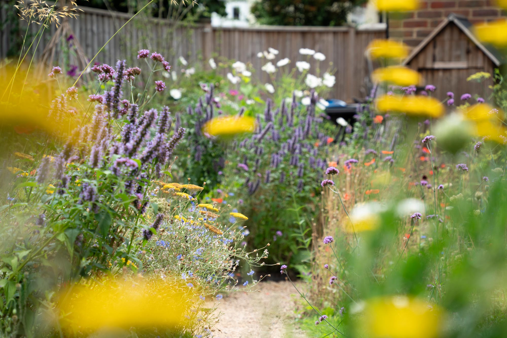 Detail of garden design by The Conscious Gardening Co.